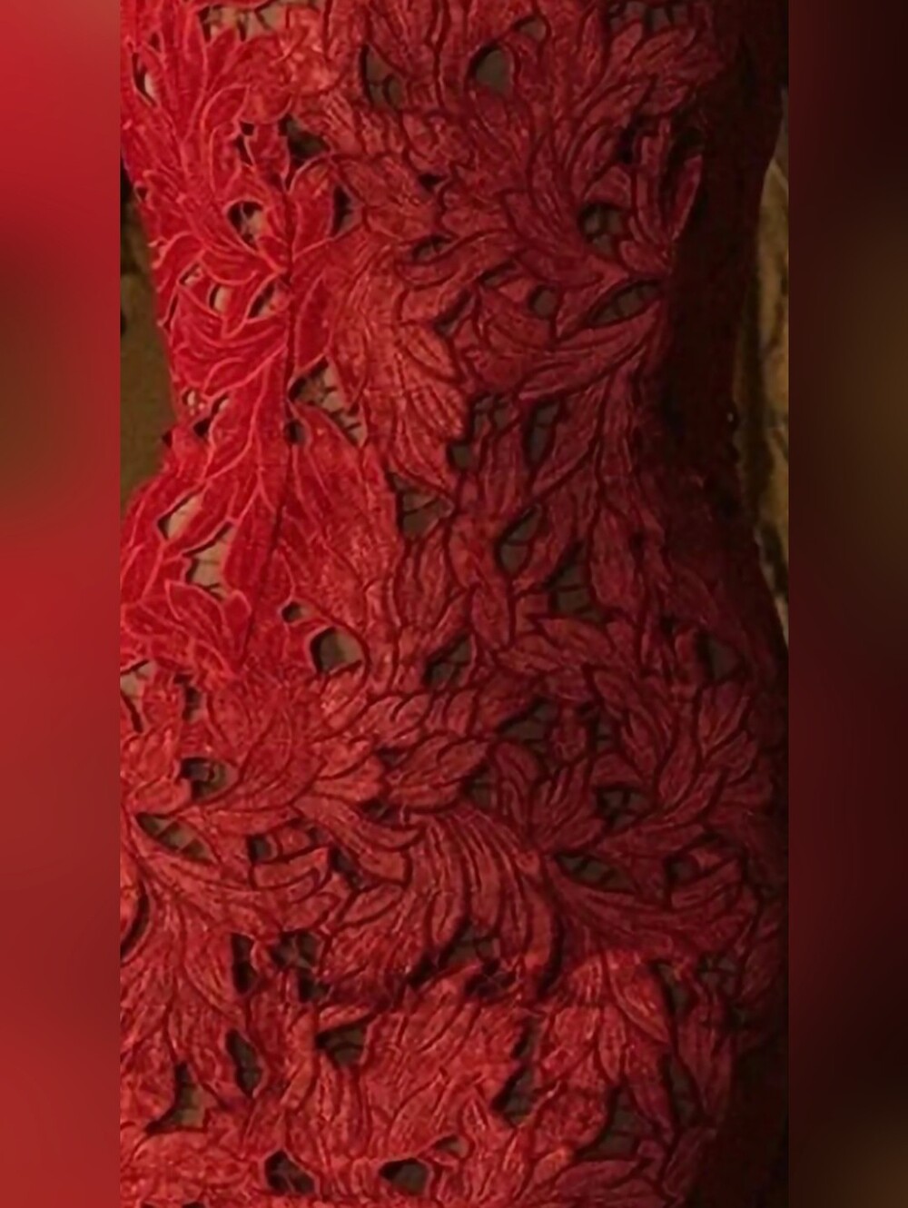 NWOT House Of CB Tiff XS Red Lace Bow Velvet Evening Gown Maxi Cherry Holly - Picture 7 of 7